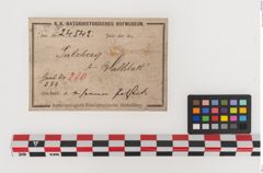 Etiketten zu Eisenschaftlappenbeil (NHMW-PRAE-024542)